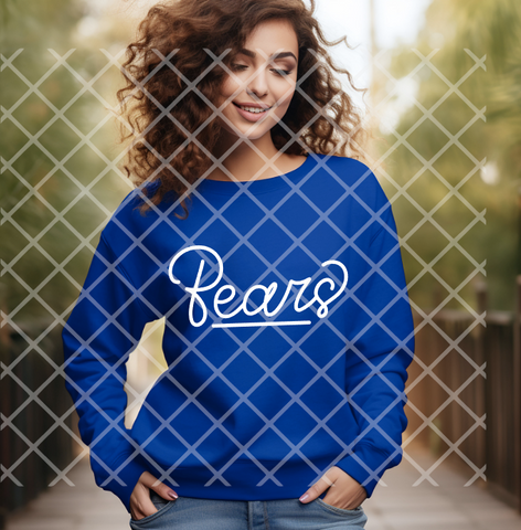 Hand Letters Bears Sublimation or DTF Transfer