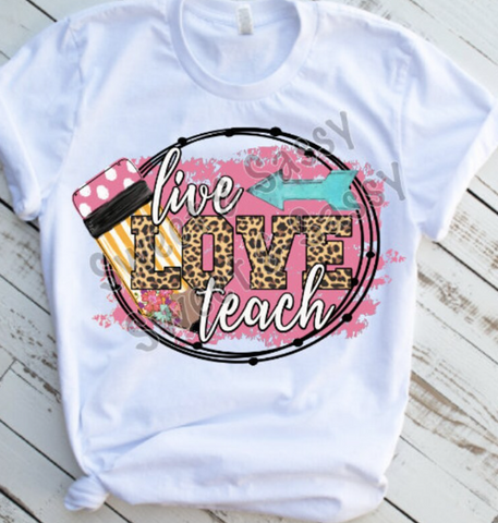 HTV Live Love Teach Transfer