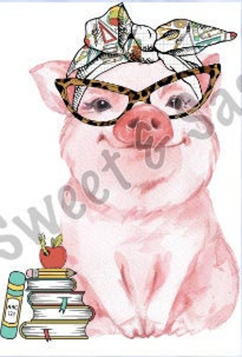 Pig School Teacher Sublimation Transfer
