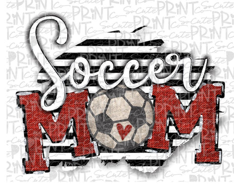 HTV Soccer Mom Transfer